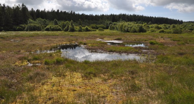 Wageningen Environmental Research - WUR